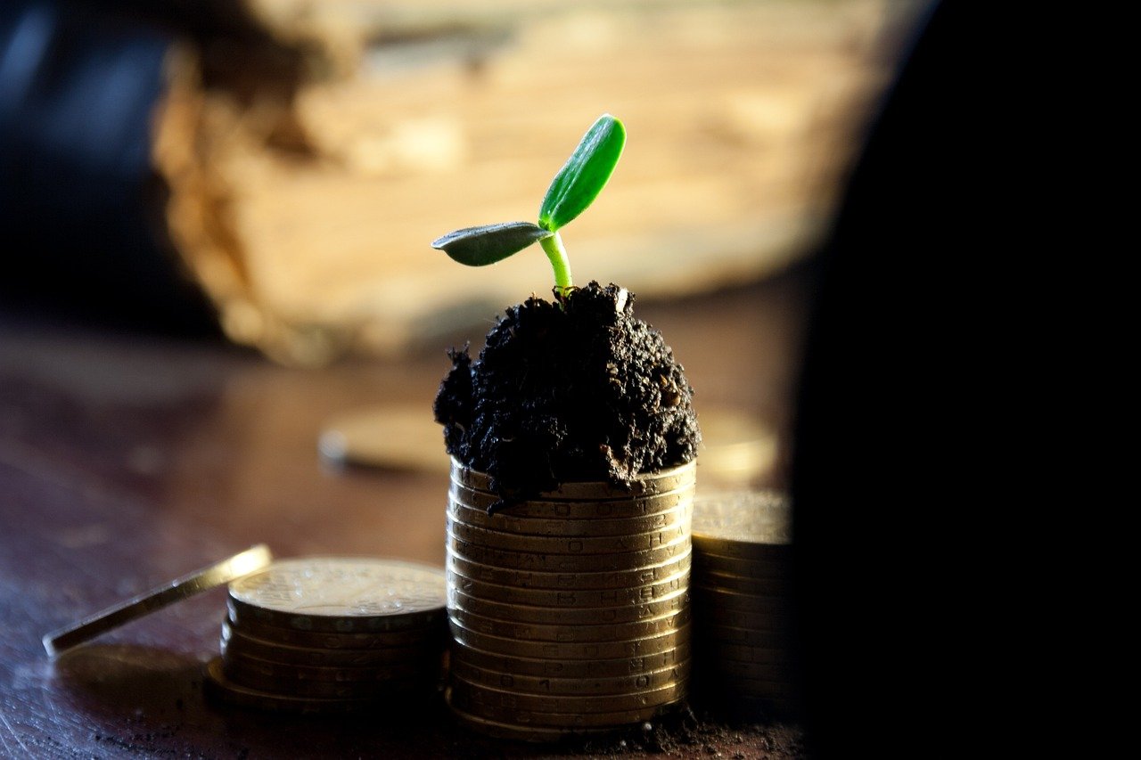 Dinero Creciendo
